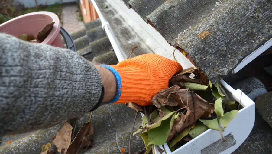 Exterior Cleaning & Seasonal Services